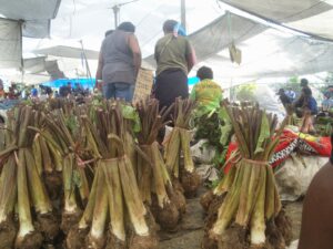 Gambar 5: Keladi atau Taro, makanan utama warga Fiji.