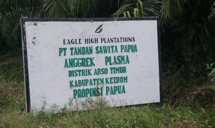 PT Tandan Sawita di Keerom, Papua. Foto dok laolao-papua.com