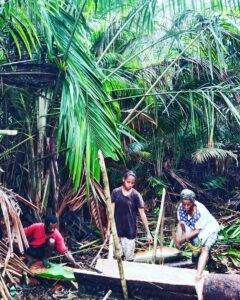 Saya memperhatikan keluarga kecil ini berinteraksi, bercanda, sekaligus mentransmisikan pengetahuan di dusun sagu (foto: I Ngurah Suryawan)