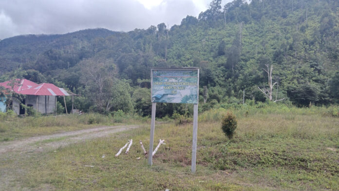 Sepanjang jalan menuju Distrik Neney, Kabupaten Manokari Selatan, saya melihat kurang lebih 4 papan yang menyatakan bahwa wilayah ini adalah lokasi persiapan kampung pemekaran. Foto: I Ngurah Suryawan.