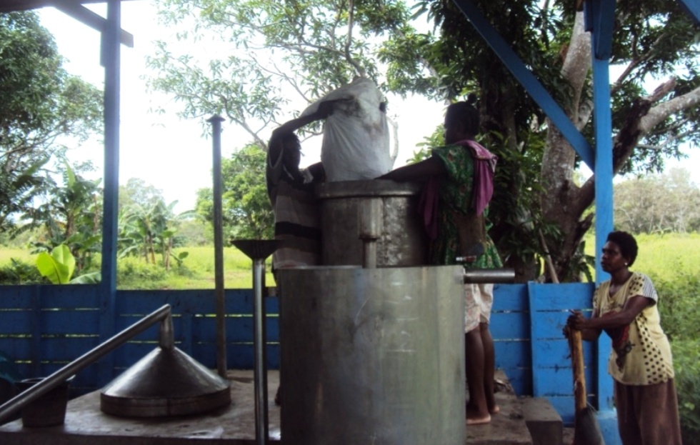 Proses penyulingan daun kayu putih oleh mama-mama Papua. Foto: I Ngurah Suryawan.