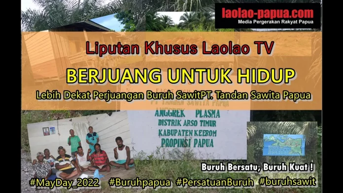 Ilustrasi dari laolao-papua.com
