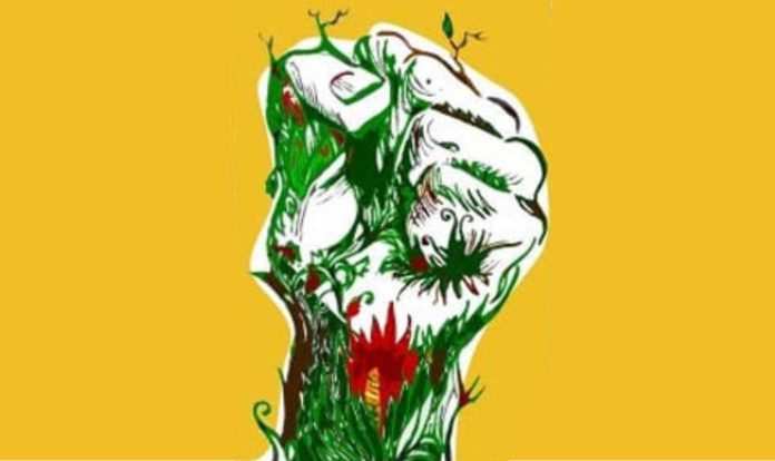 Foto ilustrasi