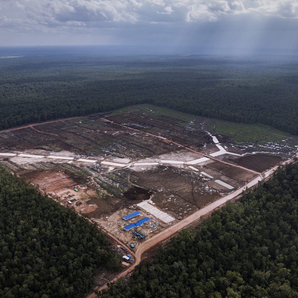 An aerial view of recent land clearing for food estate project in Jagebob district, Merauke regency on February 5, 2025 in South Papua Province, Indonesia.